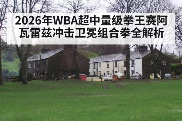 2026年WBA超中量级拳王赛阿瓦雷兹冲击卫冕组合拳全解析